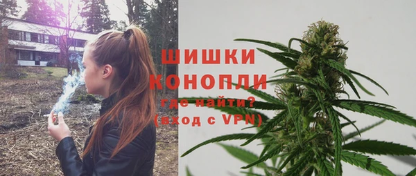 apvp Аркадак