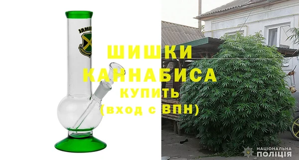 эйфоретик Няндома